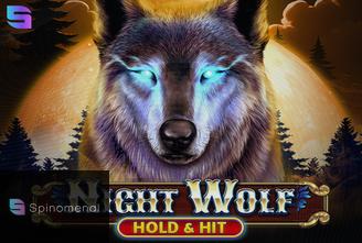 Night Wolf - Hold & Hit